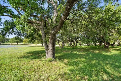 a view of backyard with green space