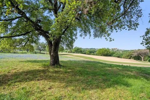a view of a garden with a tree