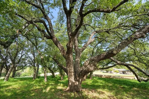 a big yard with lots of green space