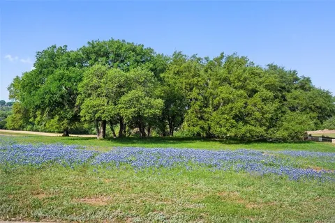 a view of a garden with flowers