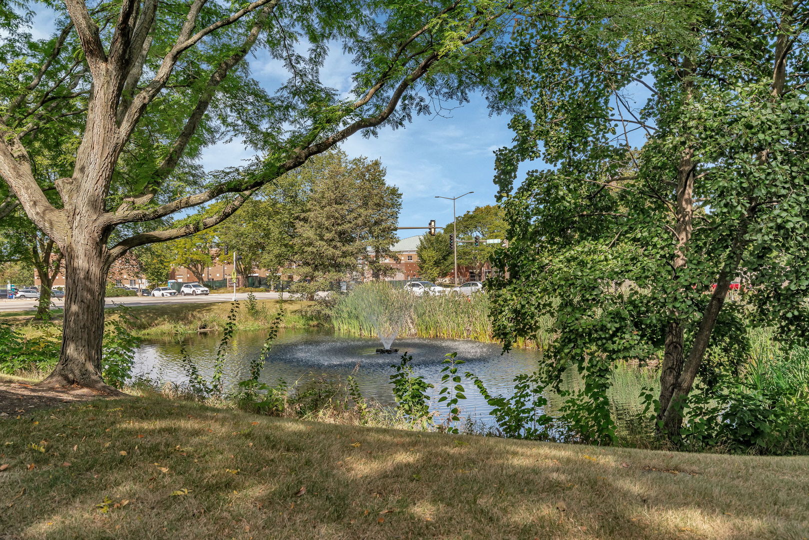 2750 Shelly Lane Aurora, IL 60504 - Photo 29 of 32 a view of a lake with a large trees