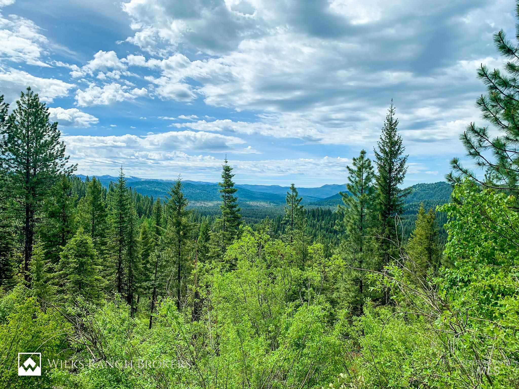 Tbd1 Paddy Flat Road McCall, ID 83638 - Photo 1 of 1