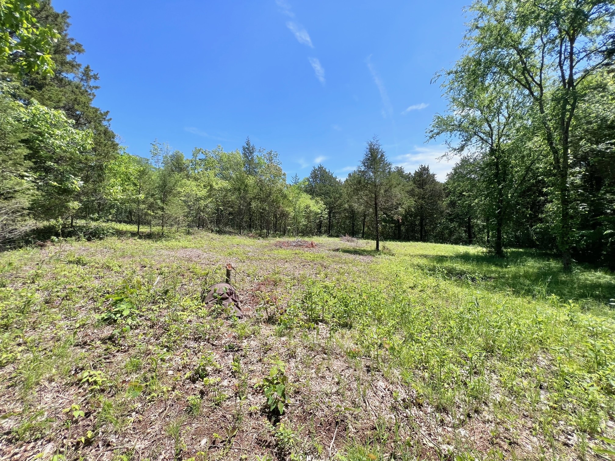 0 Cedar Hill Road Watertown, TN 37184 - Photo 11 of 17 Gallery Image 11
