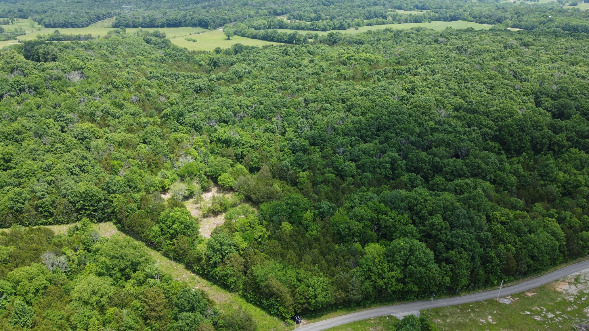 0 Cedar Hill Road Watertown, TN 37184 - Photo 14 of 17 Gallery Image 14