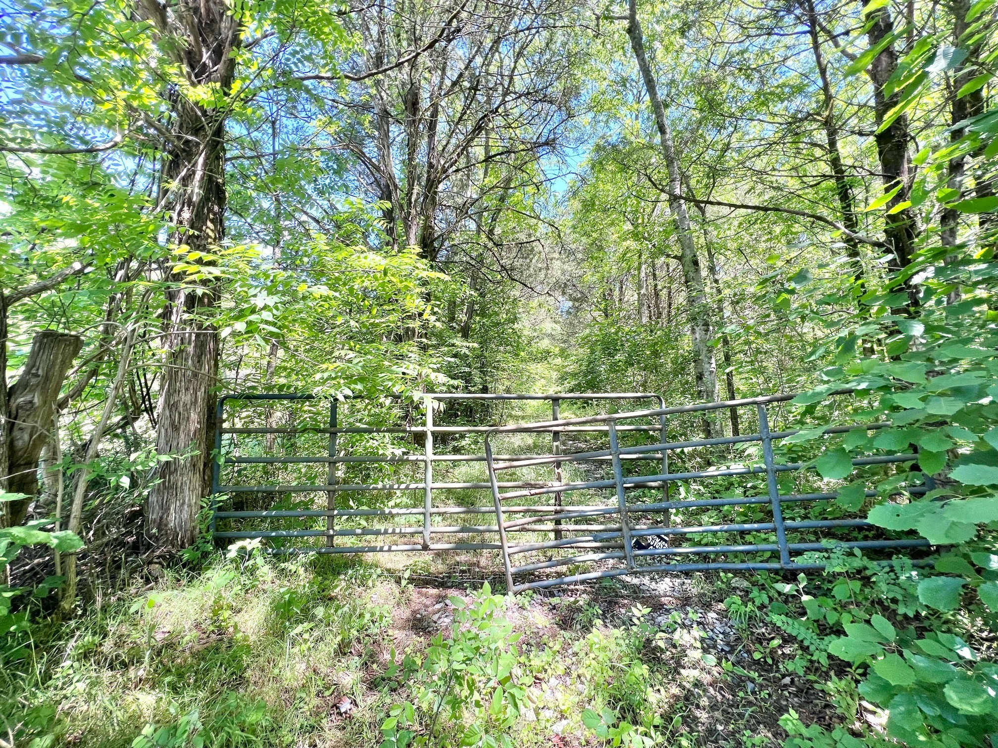 0 Cedar Hill Road Watertown, TN 37184 - Photo 2 of 17 Gallery Image 2