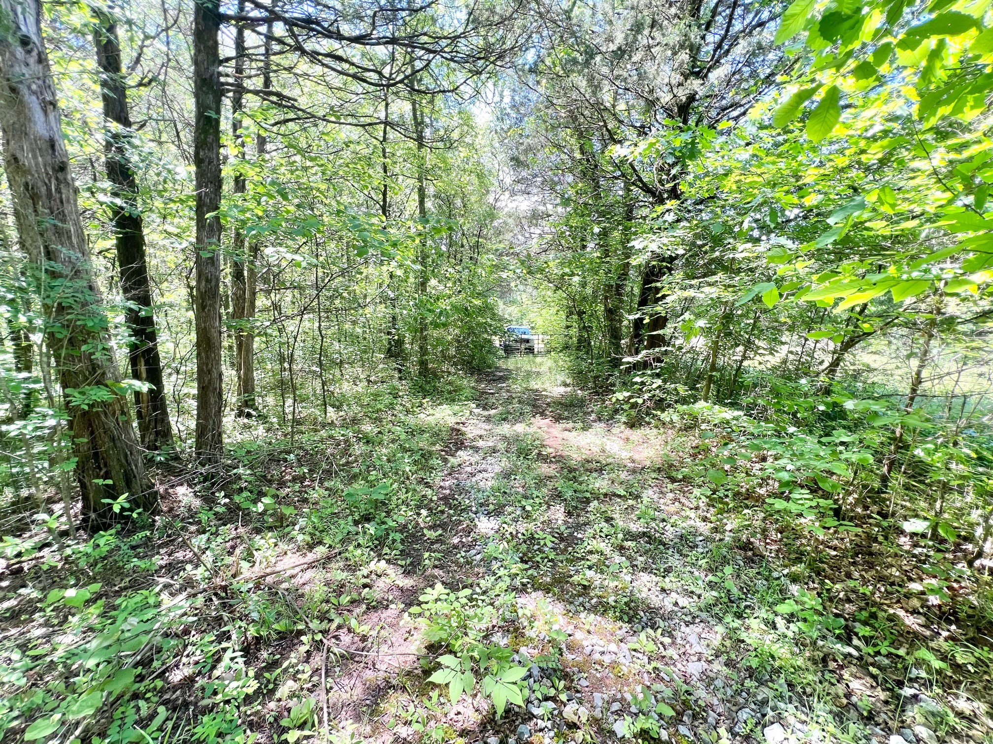 0 Cedar Hill Road Watertown, TN 37184 - Photo 4 of 17 Gallery Image 4