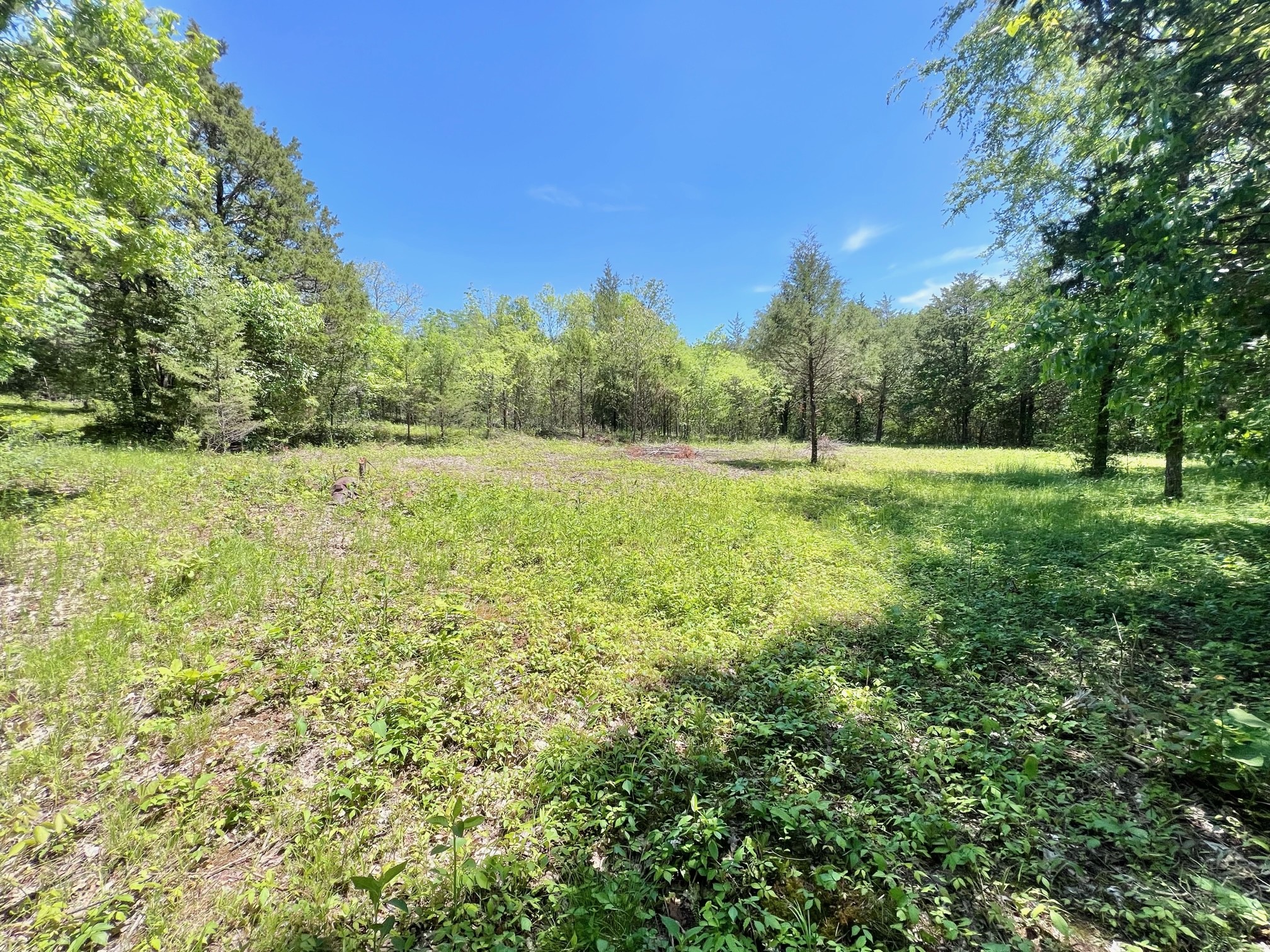0 Cedar Hill Road Watertown, TN 37184 - Photo 5 of 17 Gallery Image 5