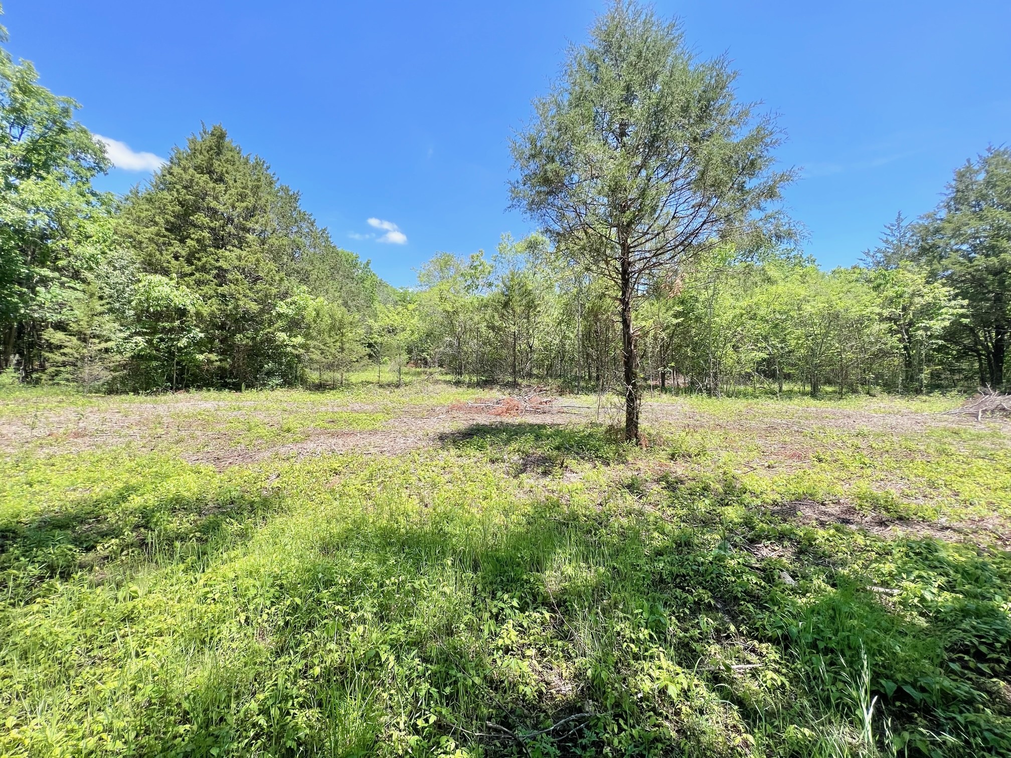 0 Cedar Hill Road Watertown, TN 37184 - Photo 6 of 17 Gallery Image 6