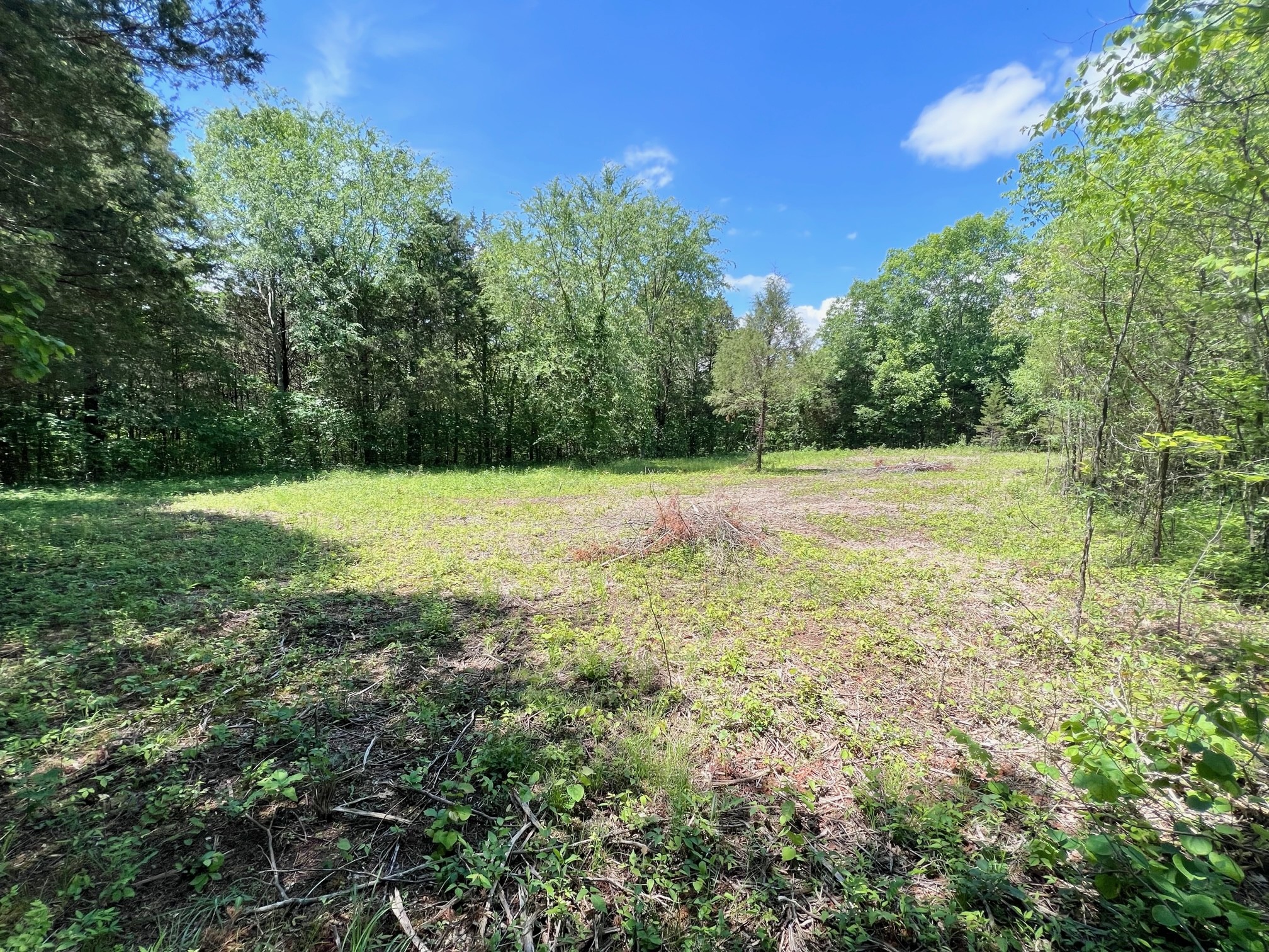 0 Cedar Hill Road Watertown, TN 37184 - Photo 8 of 17 Gallery Image 8