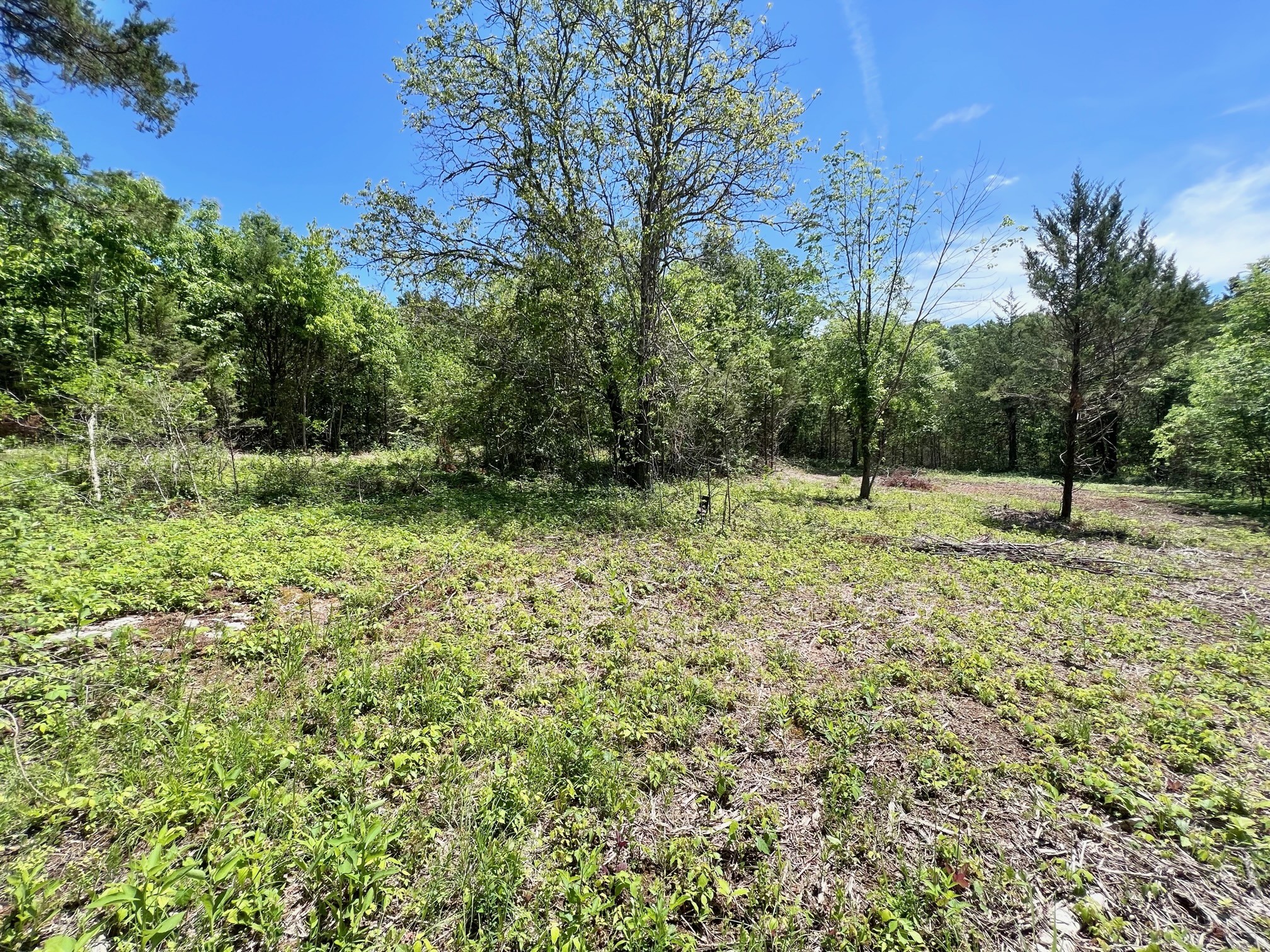 0 Cedar Hill Road Watertown, TN 37184 - Photo 10 of 17 Gallery Image 10