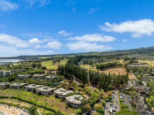 a view of a lake with a city