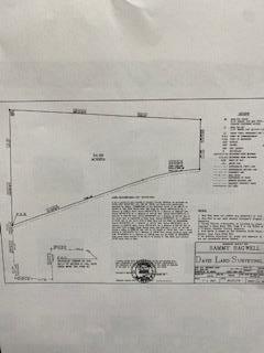 54.28-ac Webb Road Dothan, AL 36301 - Photo 3 of 57