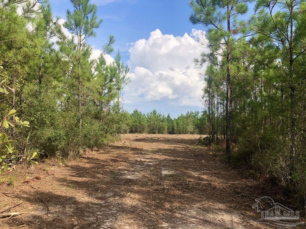 Lot 14-bs Buffalo Ridge Road Pace, FL 32571 - Photo 4 of 14