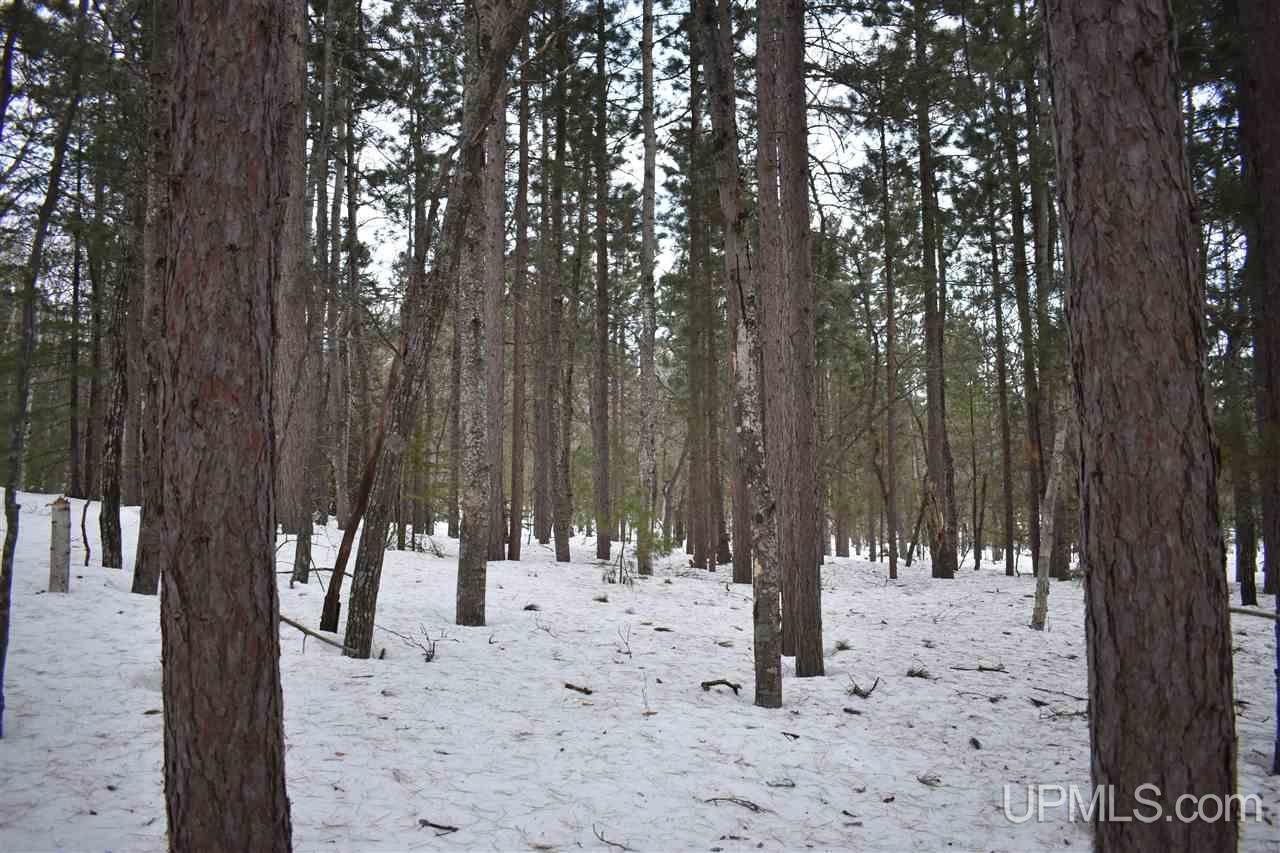 180 Co Road Negaunee, MI 49866 - Photo 41 of 50