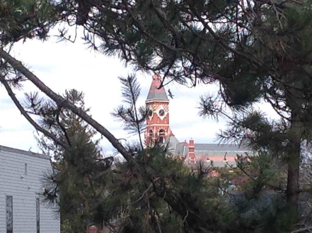 50 Allerton Place, Unit B Marblehead, MA 01945 - Photo 2 of 15