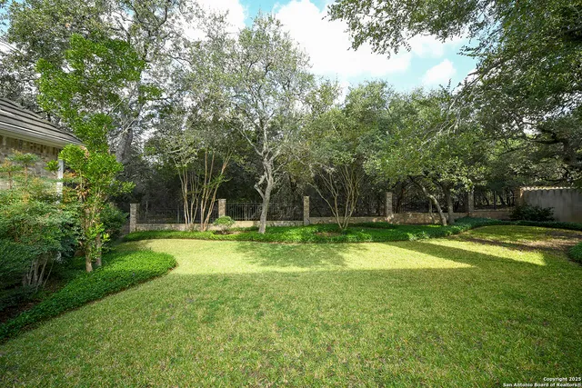 a view of a backyard with a garden and trees