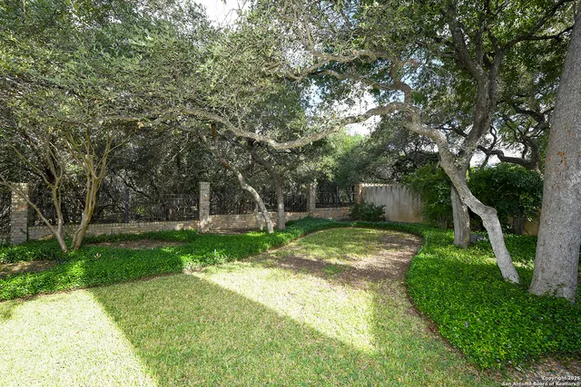 a backyard of a house with plants and large tree
