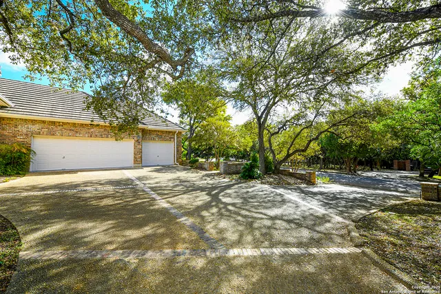 a view of a yard with a tree
