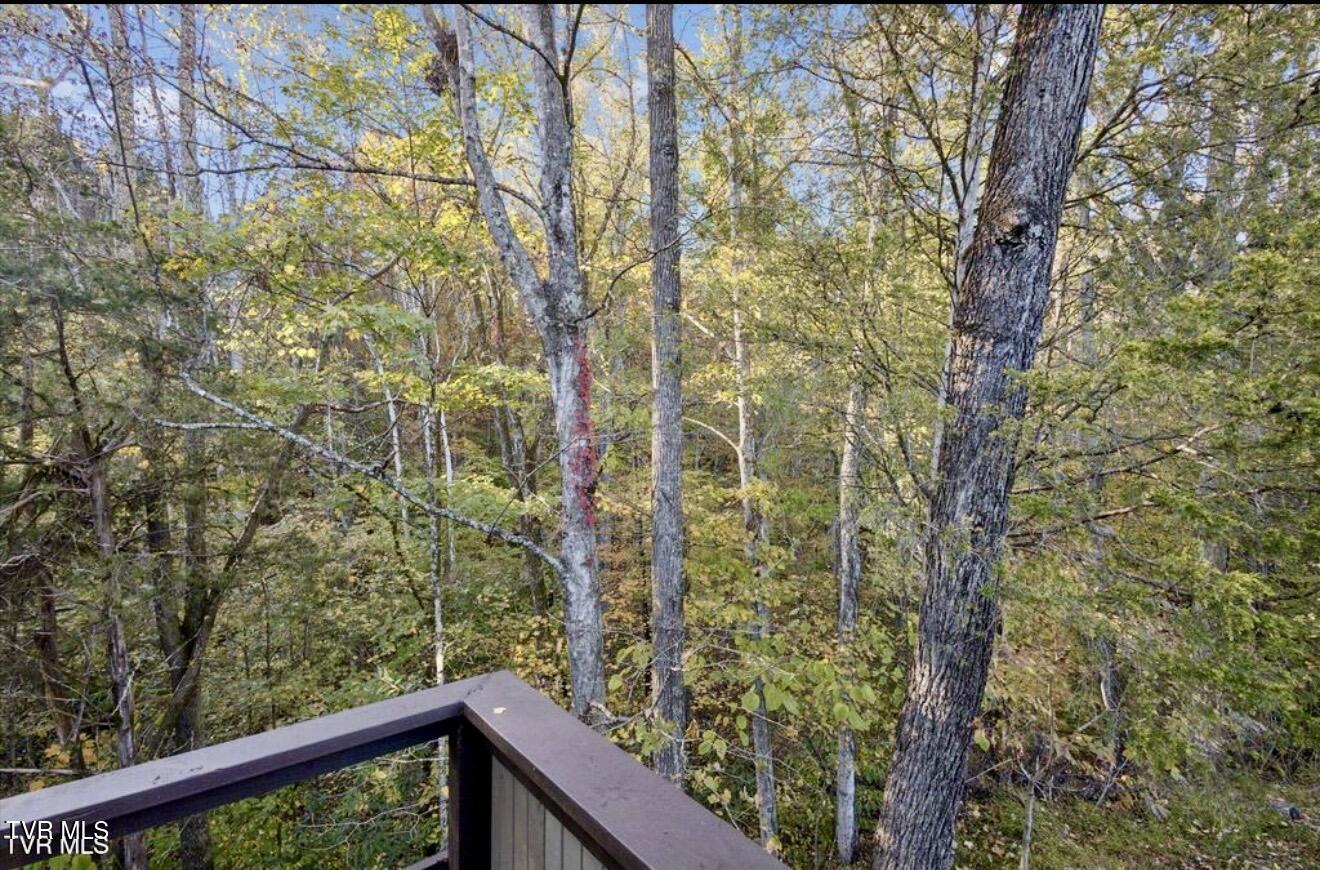 153 Columbine Road Kingsport, TN 37660 - Photo 21 of 24 IMG_2760