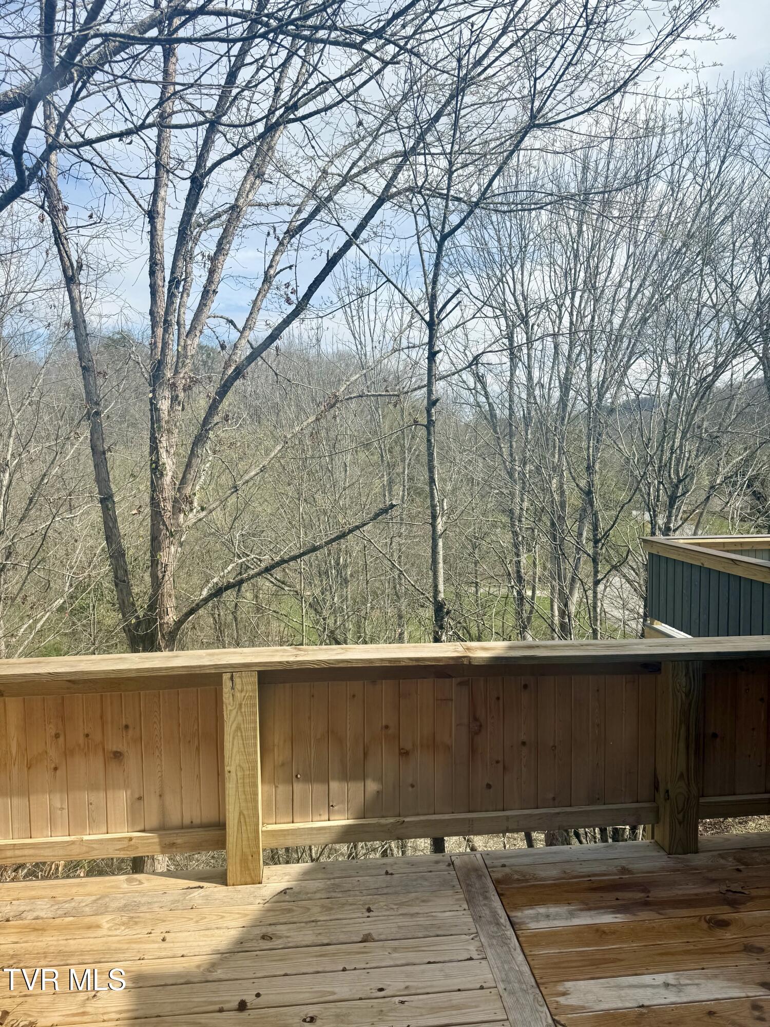 153 Columbine Road Kingsport, TN 37660 - Photo 22 of 24 IMG_2827