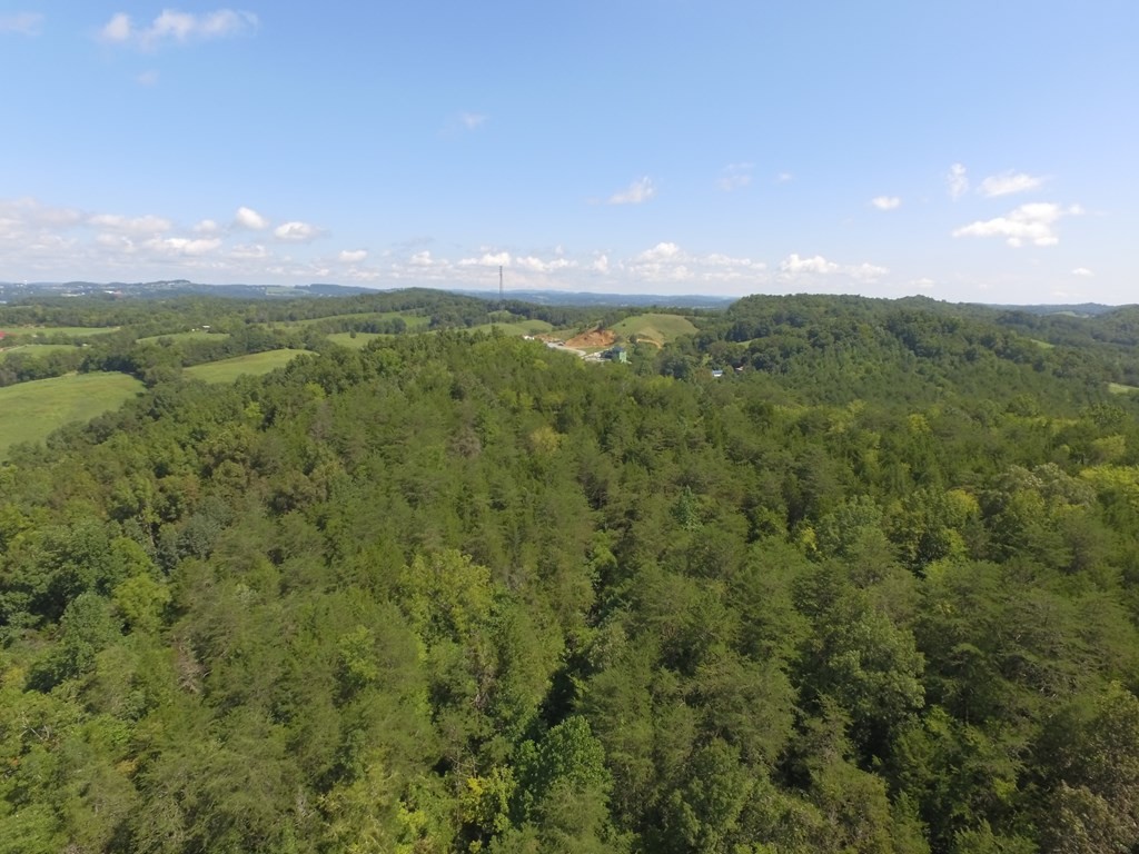 1549 Douglas Dam Road Sevierville, TN 37876 - Photo 15 of 30