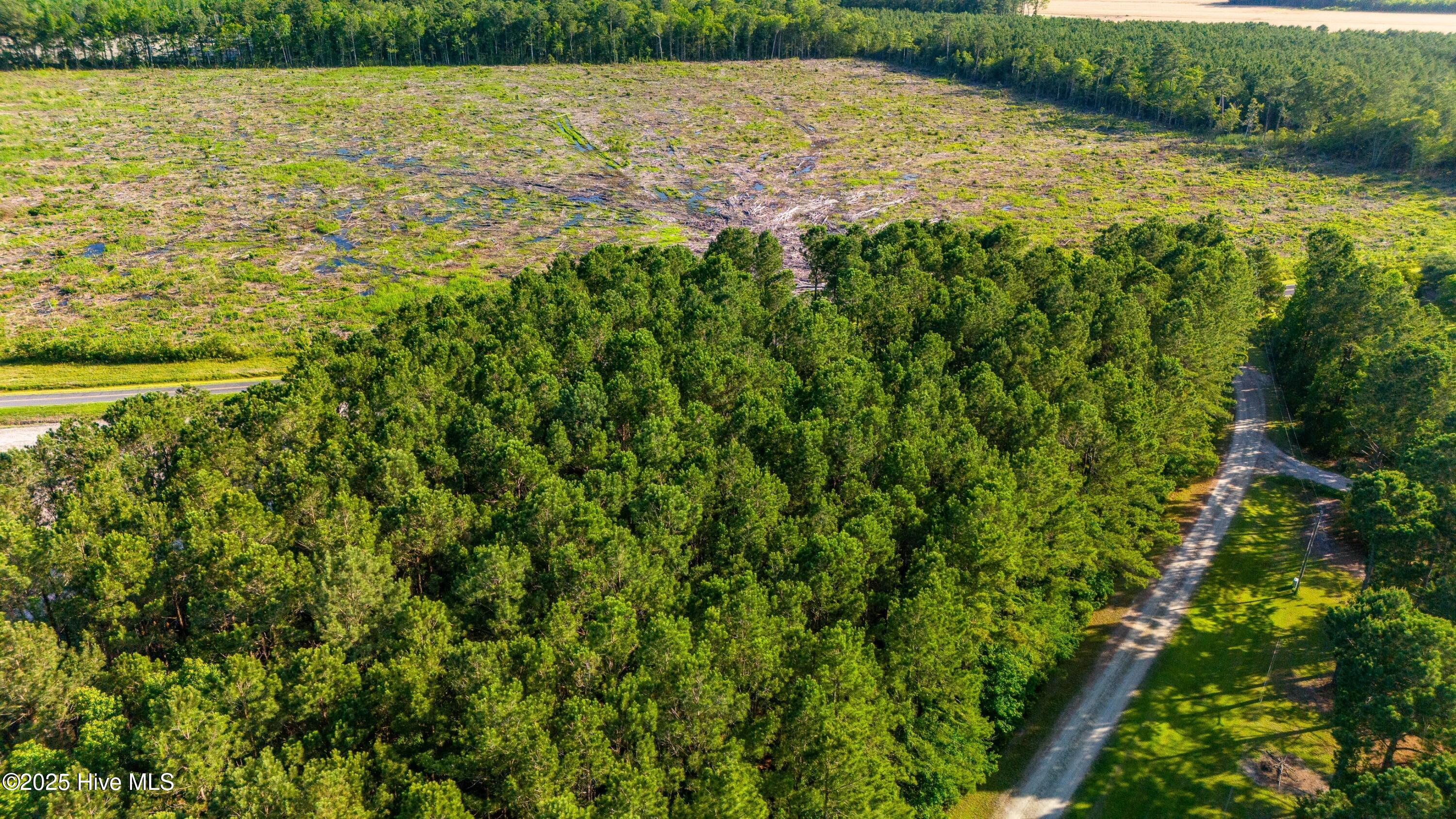 7367 Florence Road Merritt, NC 28556 - Photo 3 of 12 004_Aerial