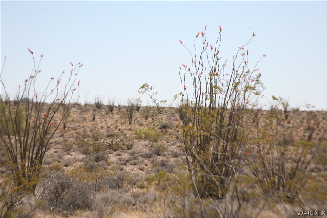 245-24-067a Lorton Road Yucca, AZ 86438 - Photo 14 of 42