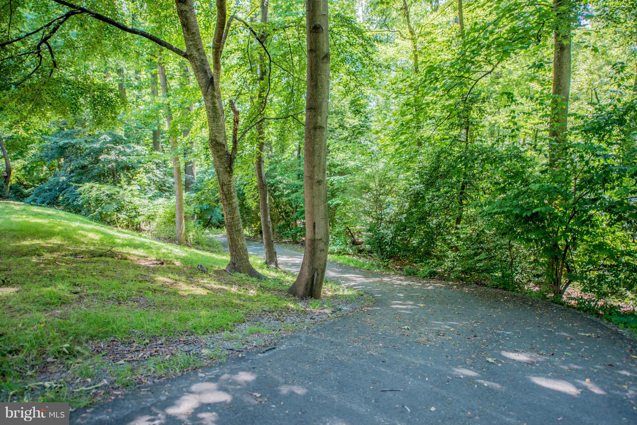 1524 Northgate Square, Unit 22A Reston, VA 20190 - Photo 17 of 17 Community