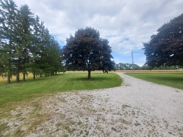 a view of a park with large trees