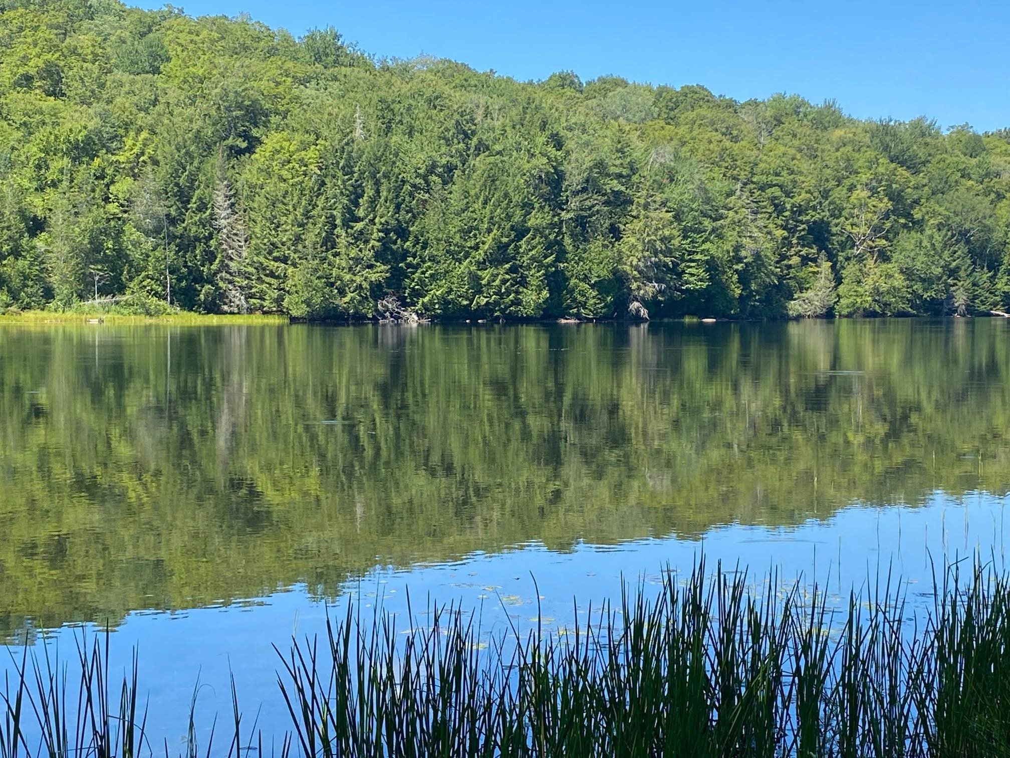 Off South Camp Road Cabot, VT 05647 - Photo 2 of 20