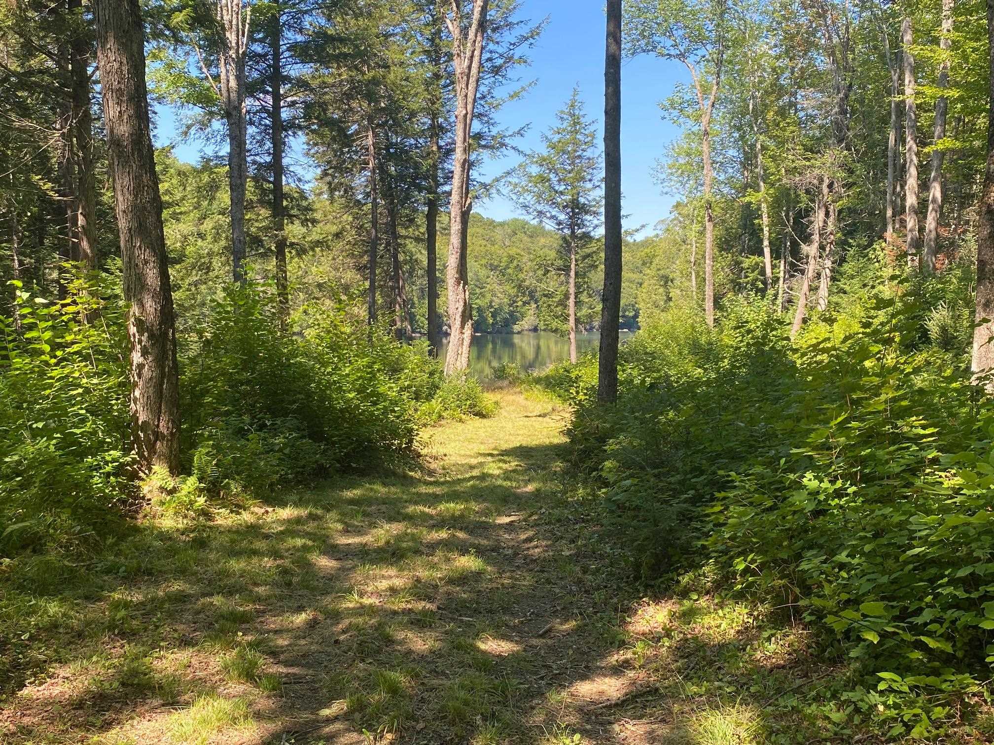 Off South Camp Road Cabot, VT 05647 - Photo 4 of 20
