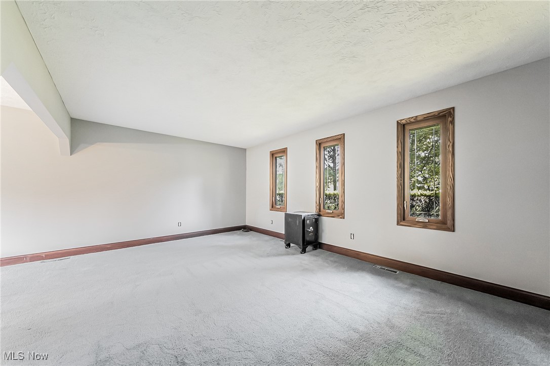 43385 Kipton Nickle Plate Road Lagrange, OH 44050 - Photo 6 of 37 Carpeted Living room featuring a textured ceiling
