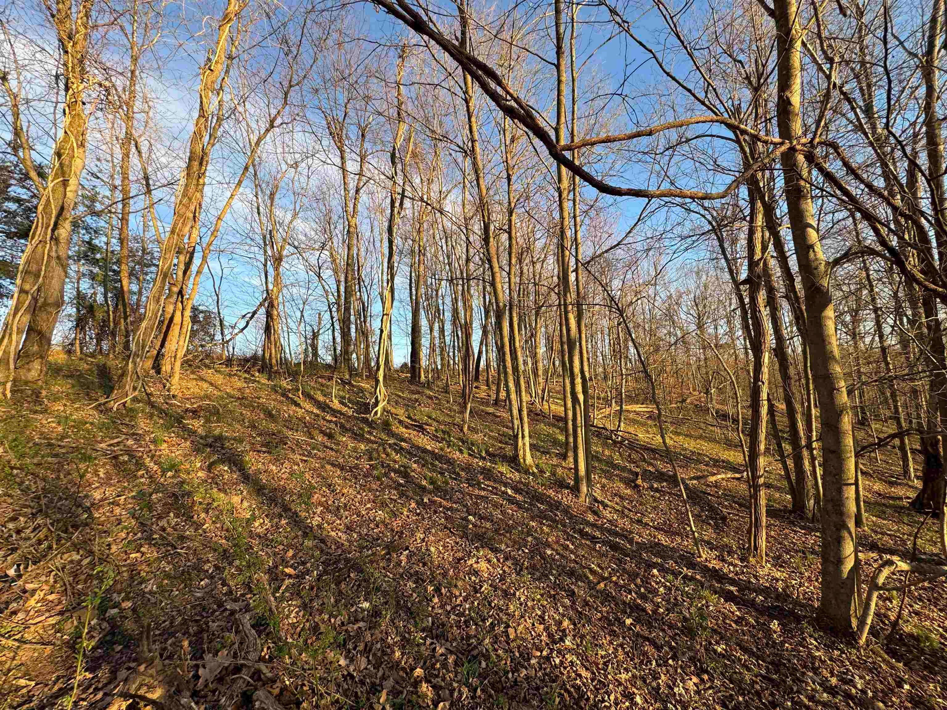 0 Co Road Proctorville, OH 45669 - Photo 22 of 27 Gallery Image 22
