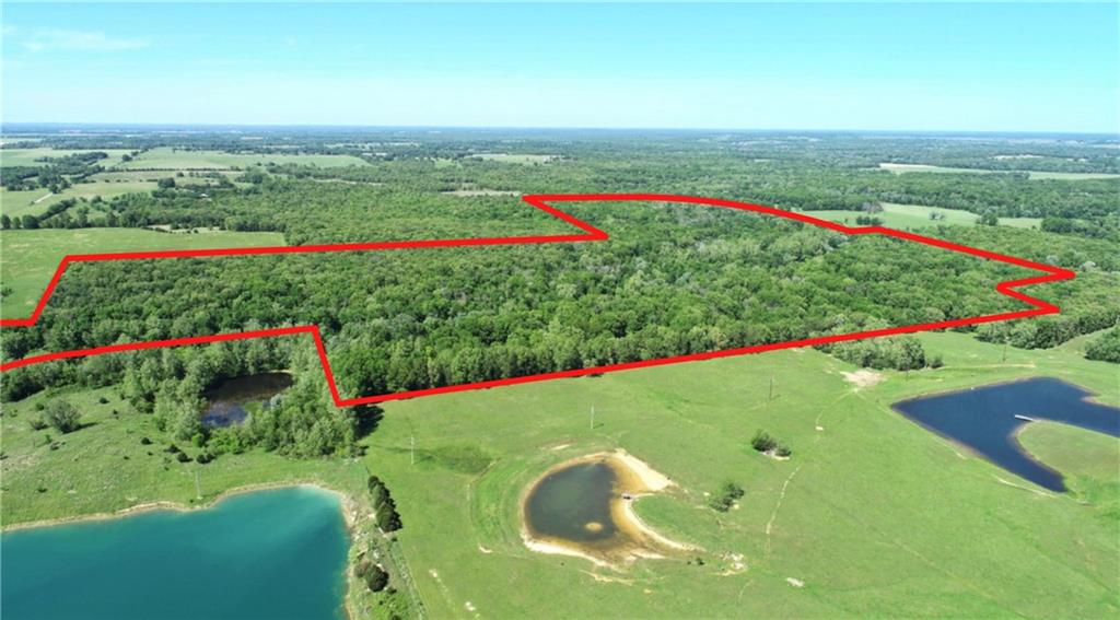 14188 South 3025th Road El Dorado Springs, MO 64744 - Photo 2 of 48