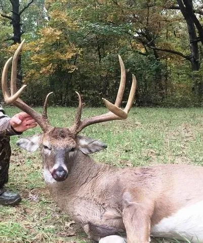 $575,000 | 14188 South 3025th Road, El Dorado Springs, MO 64744