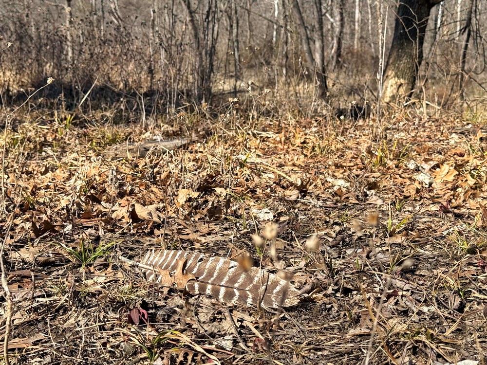 14188 South 3025th Road El Dorado Springs, MO 64744 - Photo 24 of 48