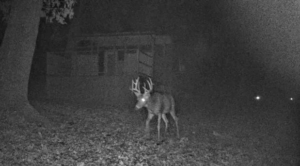 $575,000 | 14188 South 3025th Road, El Dorado Springs, MO 64744