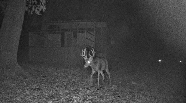 14188 South 3025th Road El Dorado Springs, MO 64744 - Photo 25 of 48