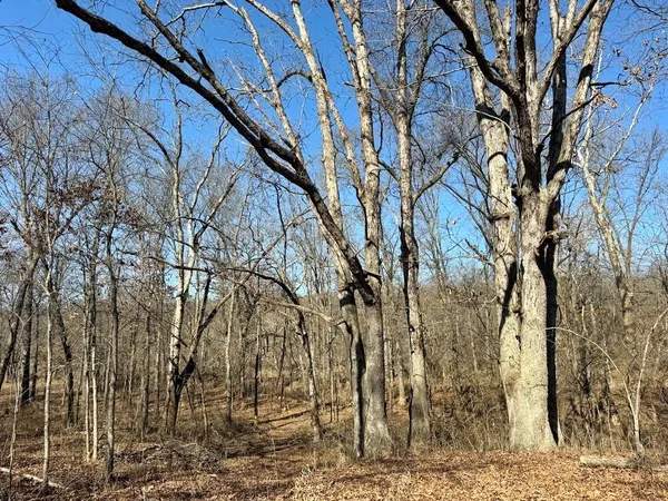 $575,000 | 14188 South 3025th Road, El Dorado Springs, MO 64744