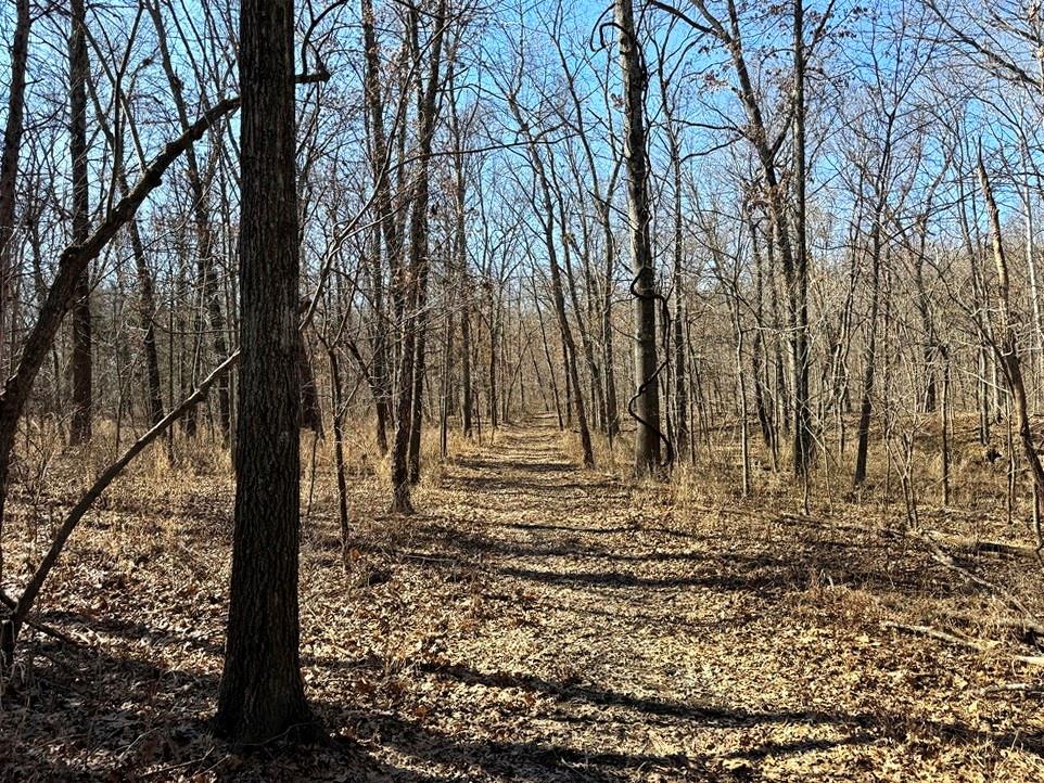 14188 South 3025th Road El Dorado Springs, MO 64744 - Photo 35 of 48