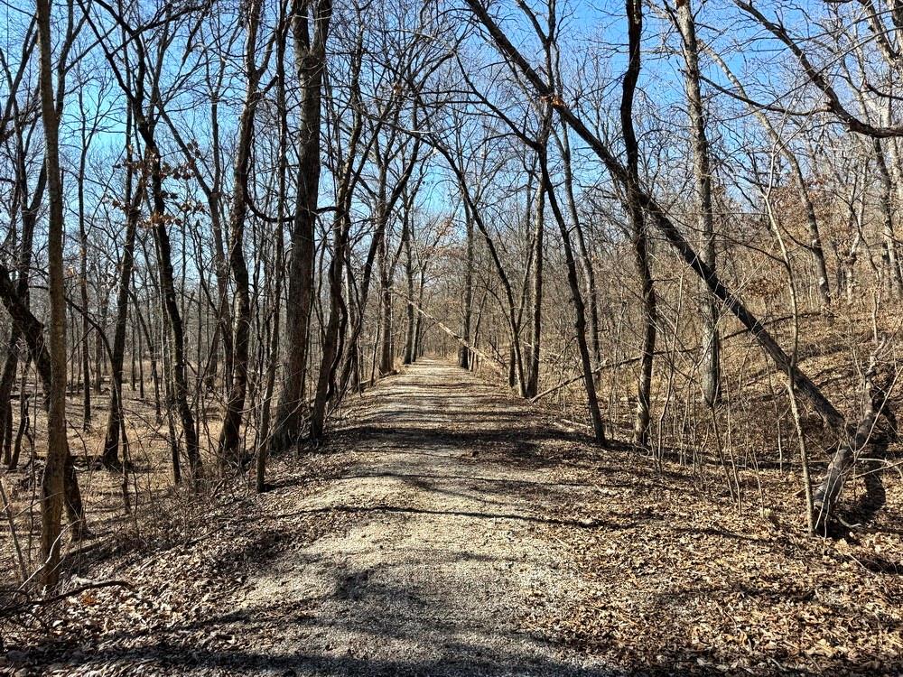 14188 South 3025th Road El Dorado Springs, MO 64744 - Photo 38 of 48