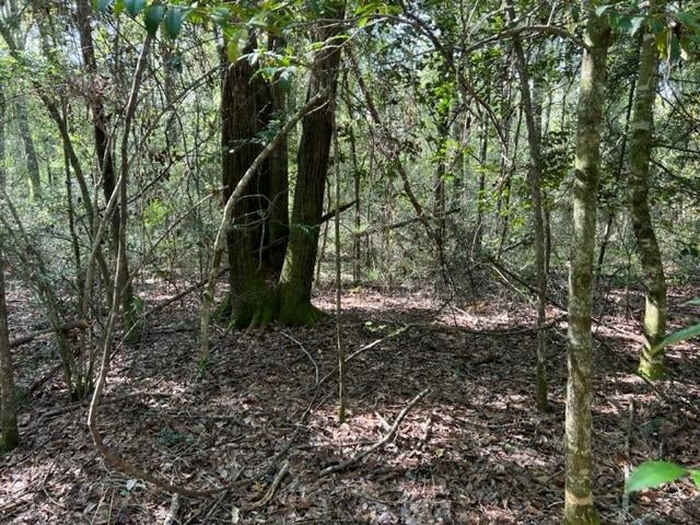 30-ac Union Grove Road Opp, AL 36467 - Photo 11 of 25 Gallery Image 11