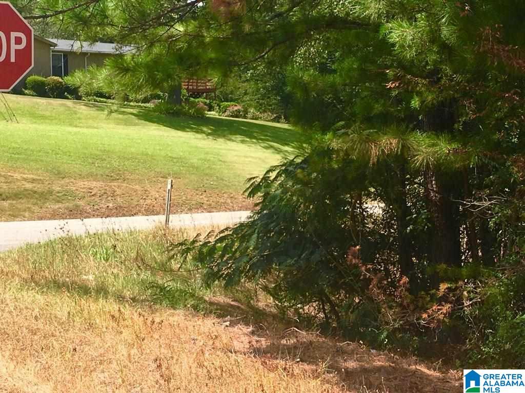 7431 Narrows Road, Unit 1 Pinson, AL 35126 - Photo 3 of 5