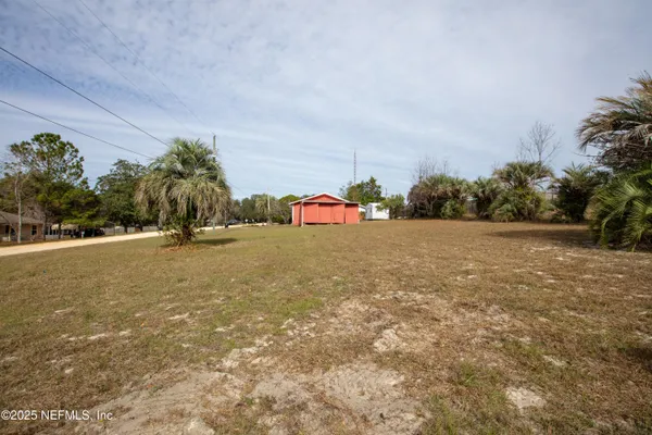a view of palm trees and a yard
