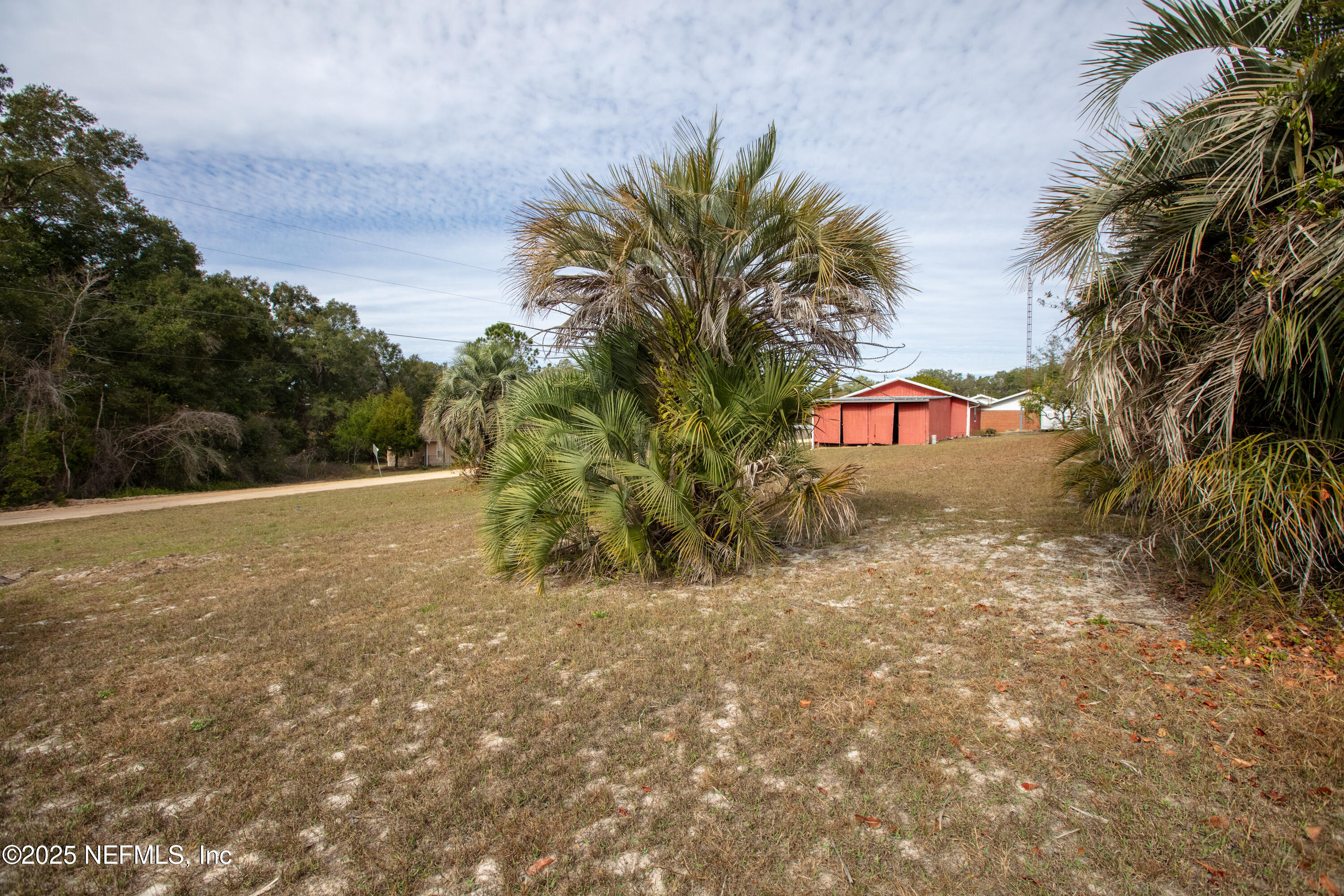 6276 Magnolia Street Keystone Heights, FL 32656 - Photo 37 of 45 a view of palm trees and a yard