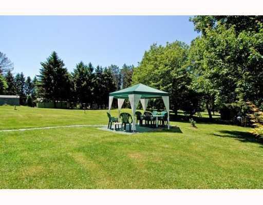 529 Engle Road Ohioville, PA 15052 - Photo 3 of 14 Land/Lot. Picnic Perfect Setting