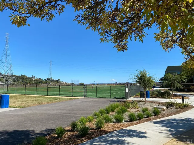 a view of green field with a tree