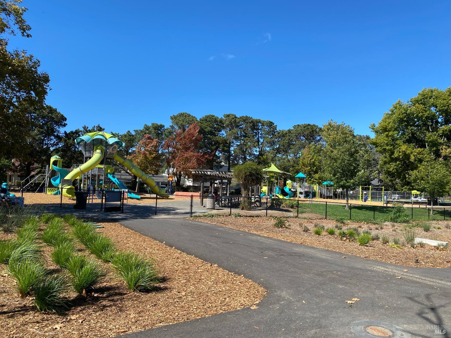 425 Bahia Way San Rafael, CA 94901 - Photo 18 of 18 a view of a park with large trees