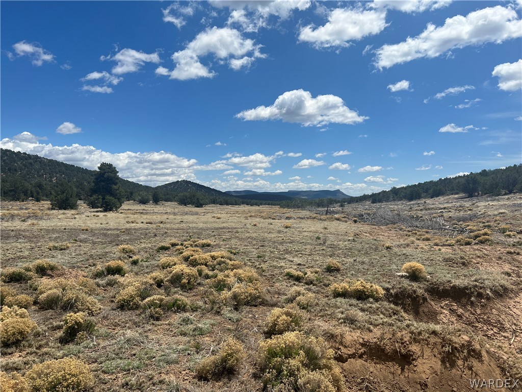 Tbd Sidwell Road Kingman, AZ 86401 - Photo 1 of 13 Gallery Image 1