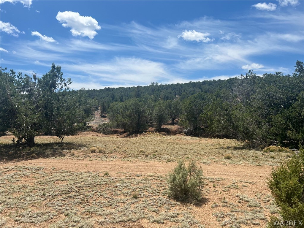 Tbd Sidwell Road Kingman, AZ 86401 - Photo 2 of 13 Gallery Image 2